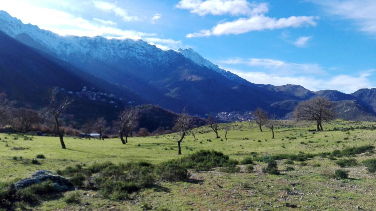 Appartement Raffine A Feliceto 120 M² Avec Vue Sur Montagne エクステリア 写真
