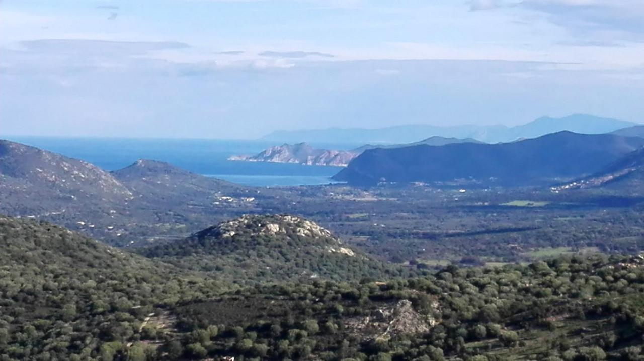 Appartement Raffine A Feliceto 120 M² Avec Vue Sur Montagne エクステリア 写真
